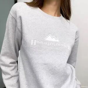 Aritzia grey crew neck